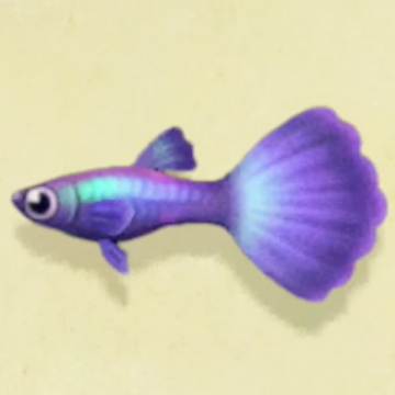 あ つもり 魚 種類