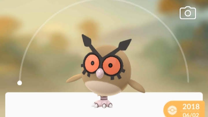 メタモンが変身してるポケモン