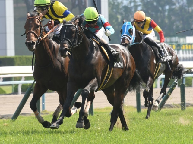 武豊 掲示板