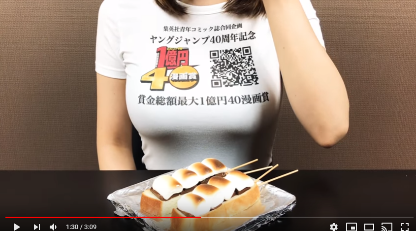 パーカー ユーチューバー 収入