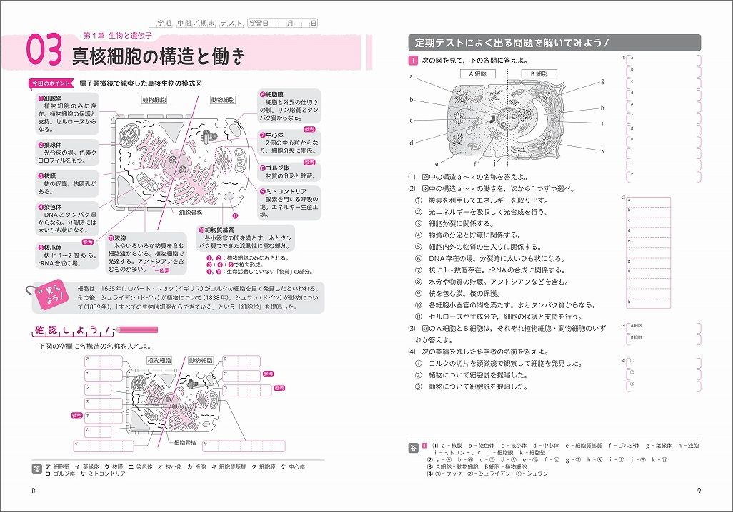 高校 生物 基礎