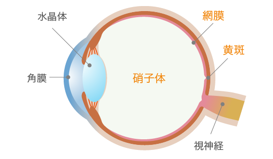 尼崎市 糖尿病