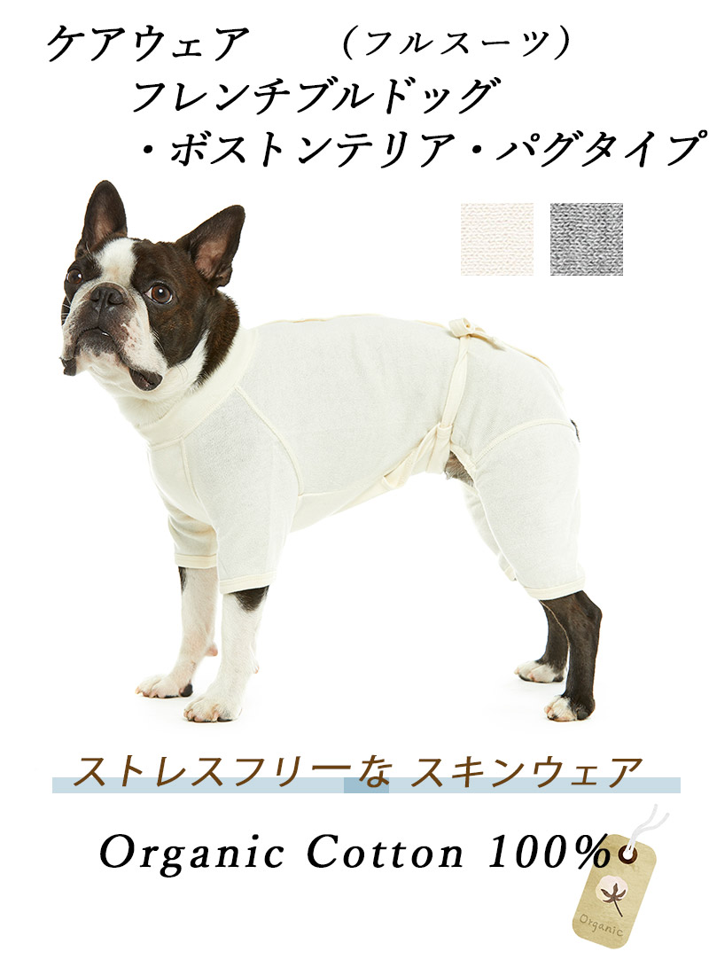 ボストンテリア 抜け毛