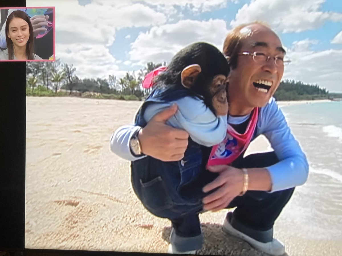 パンくん 亡くなった