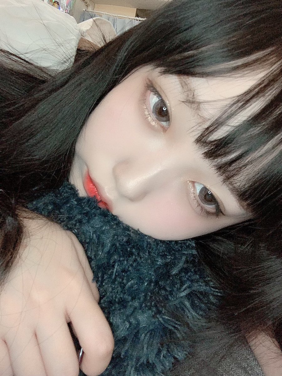 はうき たぬき