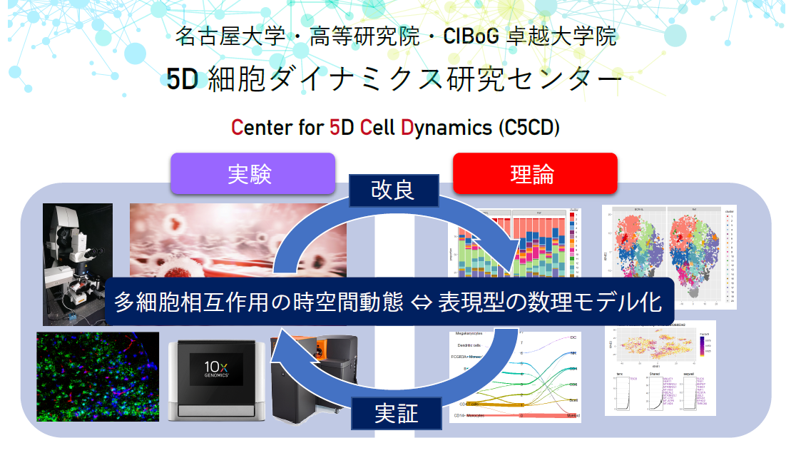 名古屋大学 センター