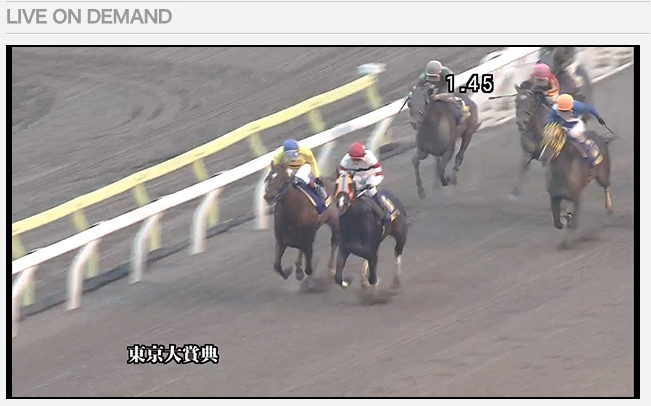 南 関東 競馬 ライブ