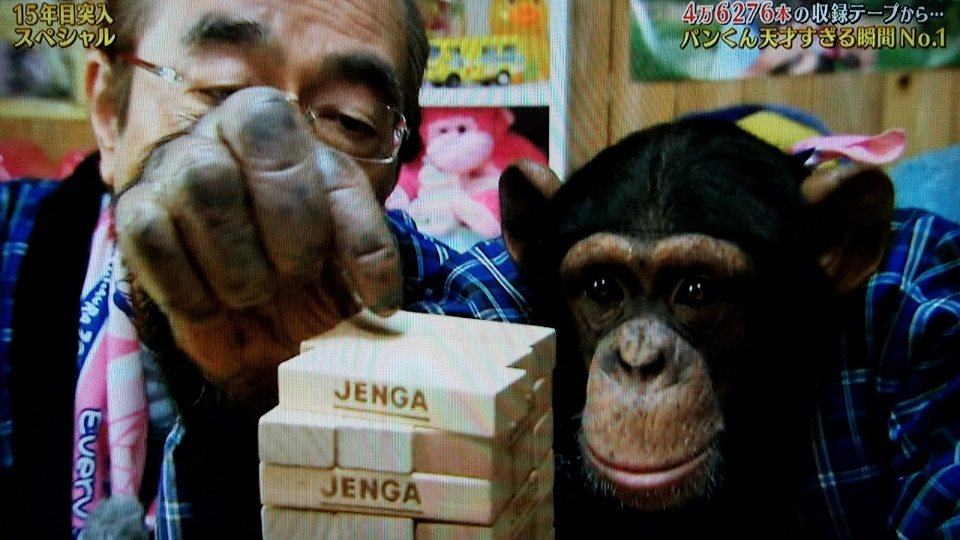 パンくん 亡くなった