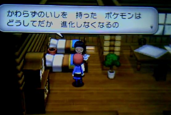 かわらずのいし 特性 遺伝