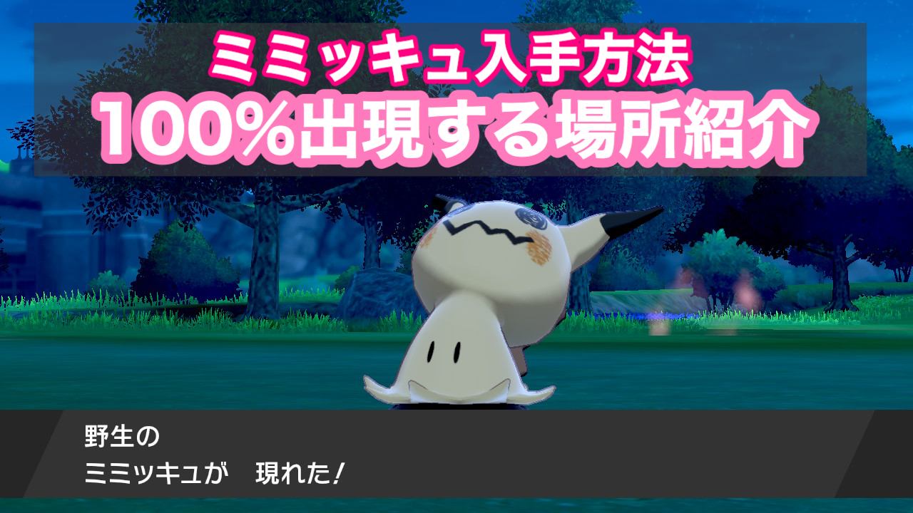 ポケモン剣盾 剣のみ