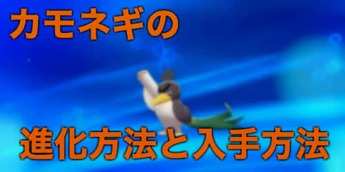 ネギ が ナイト