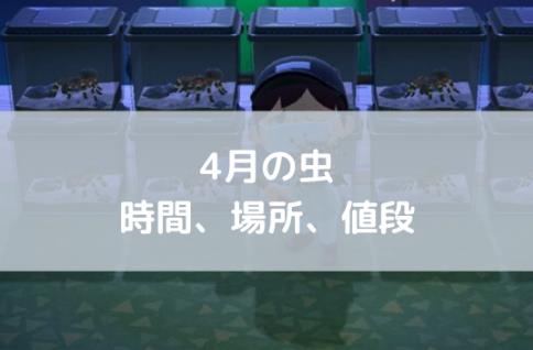 あつ 森 人 面 カメムシ