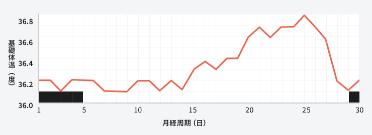基礎 体温 体温 違い